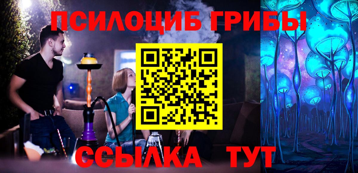 Псилоцибиновые грибы Psilocybine cubensis  Галлюциногенные грибы Psilocybe  Вход с VPN  Стрежевой 